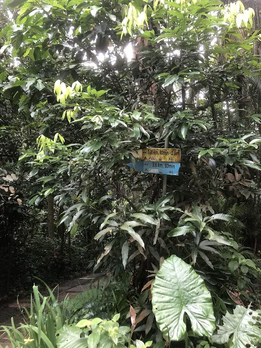 Bukit Gasing Via Hillpark Trailhead Picture 10