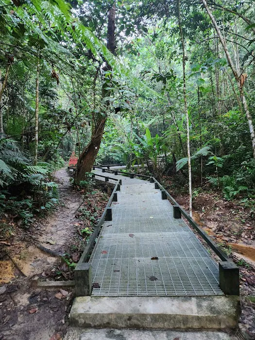 Gasing Hill Top Picture 1