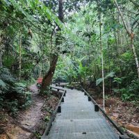 Gasing Hill Top ico