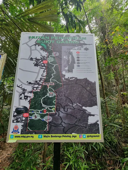 Gasing Hill Top Picture 5