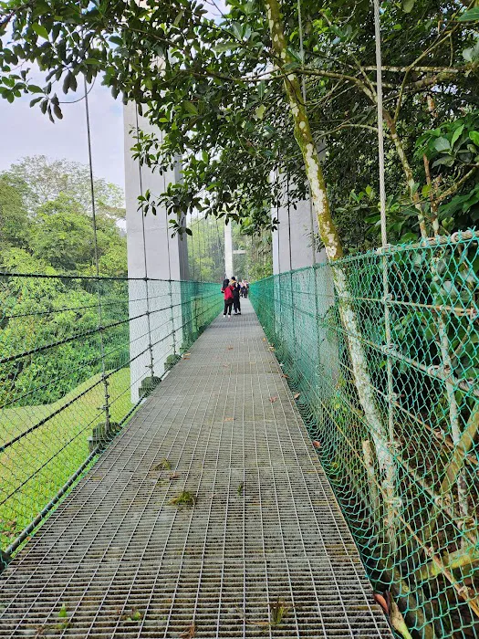Gasing Hill Top Picture 9