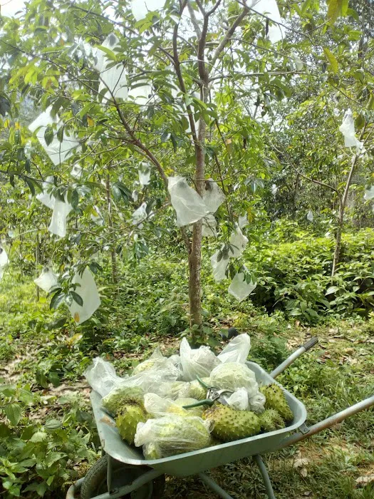 Surau Nor Iman Kampung Bukit Picture 3