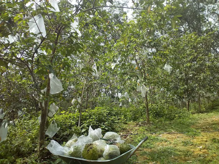 Surau Nor Iman Kampung Bukit Picture 5