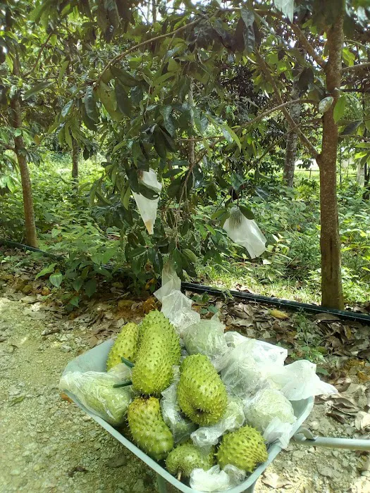 Surau Nor Iman Kampung Bukit Picture 4
