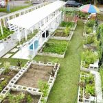 Kebun Komuniti BPP4