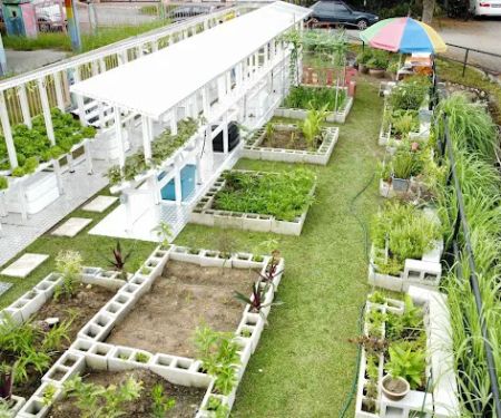 Kebun Komuniti BPP4
