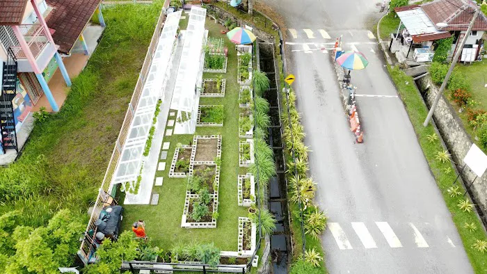 Kebun Komuniti BPP4 Picture 3