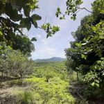 Kawasan hutan dalam Reka