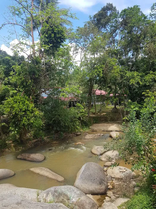 Kawasan hutan dalam Reka Picture 3
