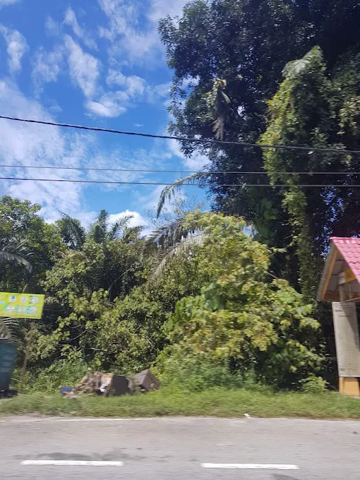 Kawasan hutan dalam Reka Picture 4