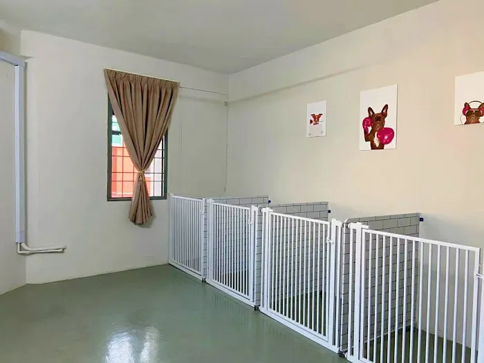 MY PET CENTRE Picture 4