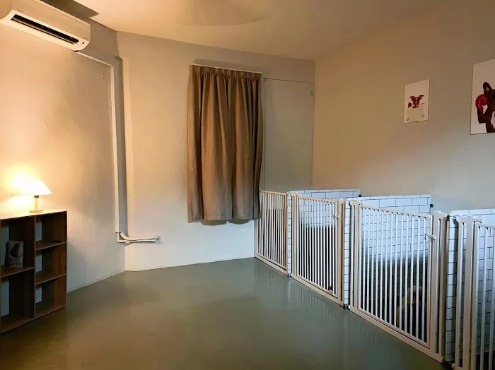 MY PET CENTRE Picture 2