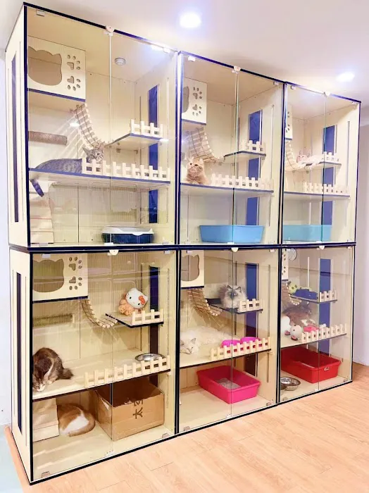 MY PET CENTRE Picture 3
