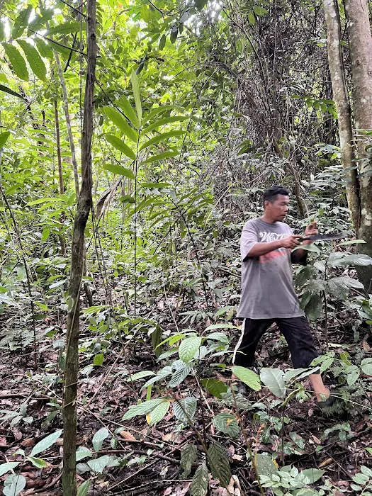 Sepakat Tani Agro Farm Samalian Hill Picture 1