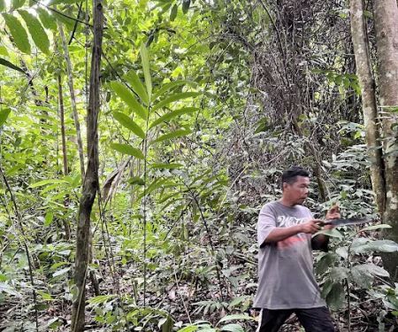 Sepakat Tani Agro Farm Samalian Hill