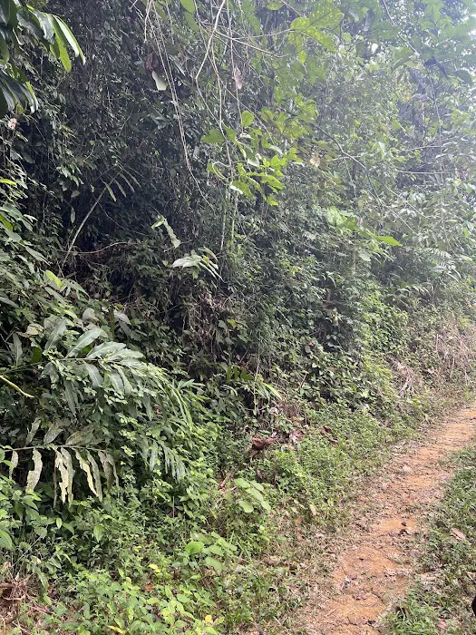 Sepakat Tani Agro Farm Samalian Hill Picture 6