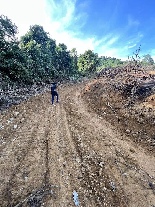 Sepakat Tani Agro Farm Samalian Hill Picture 5