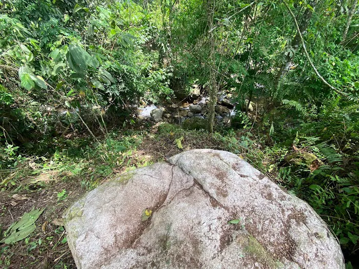 Entigis Campground Picture 6