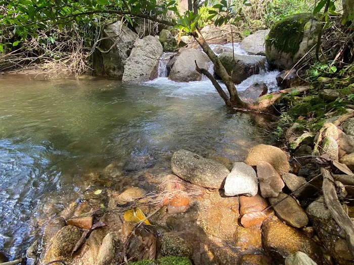 Entigis Campground Picture 9