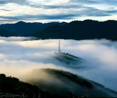 Puncak Bukit Jeli
