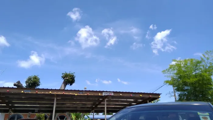 As-Syarif Mosque (Town Mosque) Picture 8