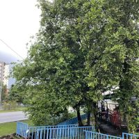 Lelayang Mini Cafe ico