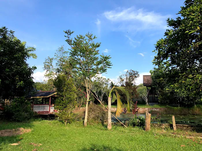 Hammocks By The River Picture 4