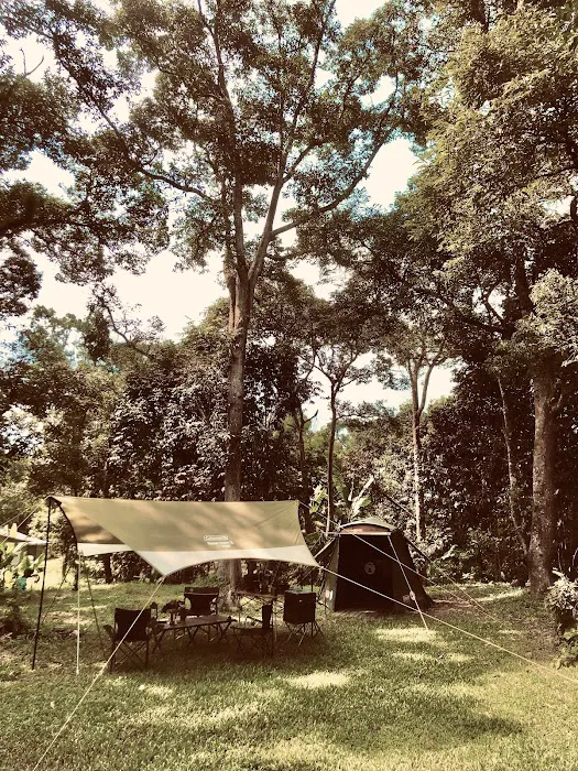 Hammocks By The River Picture 5