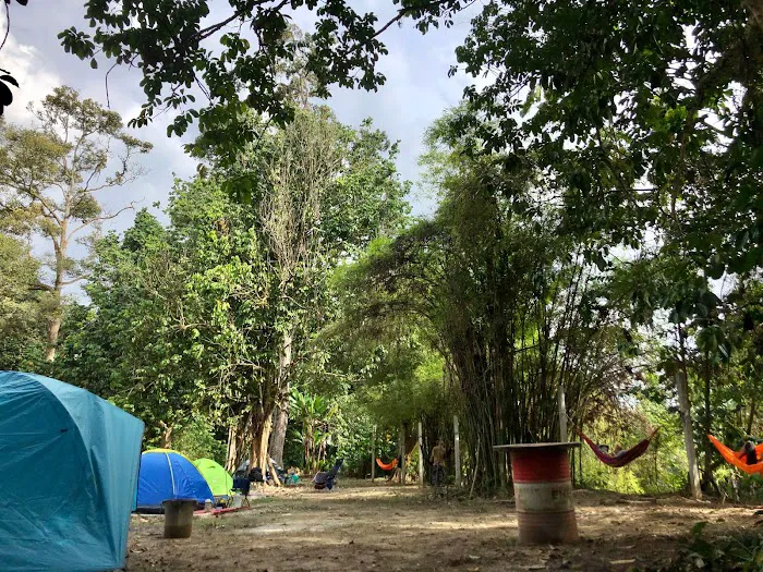 Hammocks By The River Picture 8