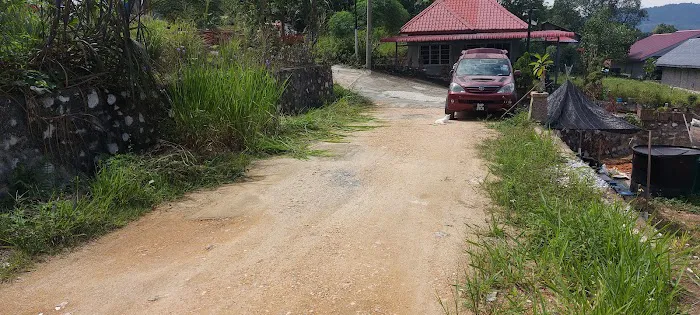 Kebun Faroq Picture 4