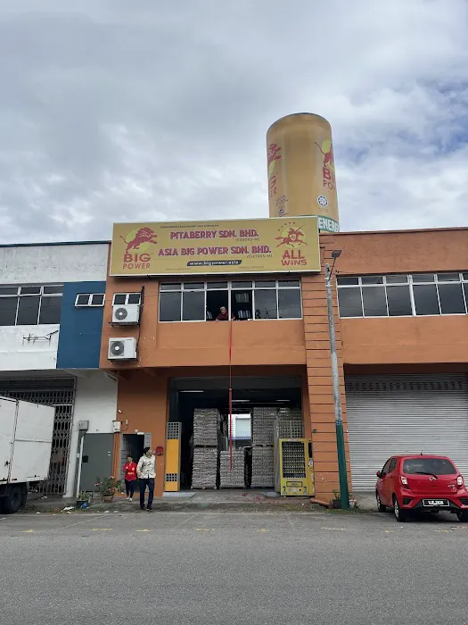 PitaBerry Sdn Bhd Picture 3