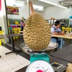 Kenny durian 猫王山