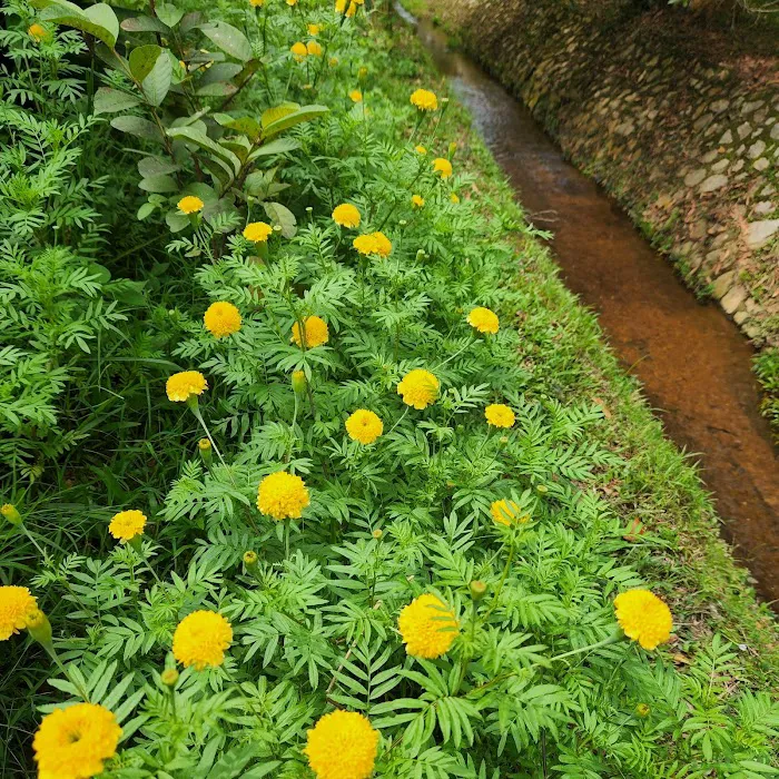 Taman Lestari UKM-YSD Picture 3