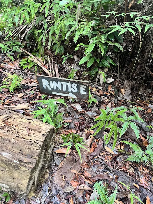 Bukit Rupa UKM Forest Reserve Enterance Picture 1