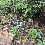 Bukit Rupa UKM Forest Reserve Enterance