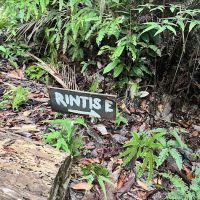 Bukit Rupa UKM Forest Reserve Enterance ico