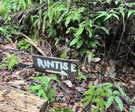 Bukit Rupa UKM Forest Reserve Enterance