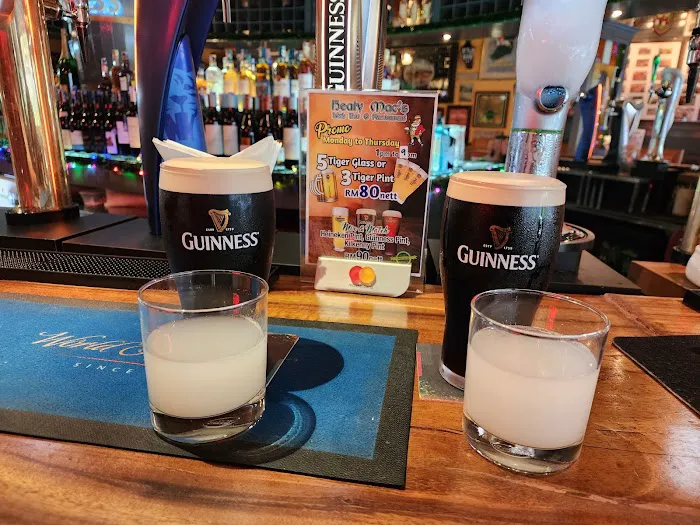 Healy Mac's Irish Bar & Restaurant - Publika Picture 8
