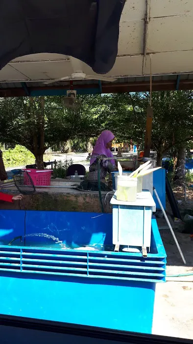 Patin Talapia Sangkar Sg. Pahang Picture 2