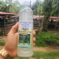 WARONG SATAY ABI KUALA KRAU ico
