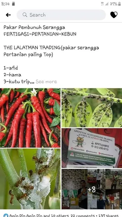 WARONG SATAY ABI KUALA KRAU Picture 10