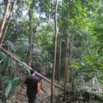 Bukit Rupa Summit