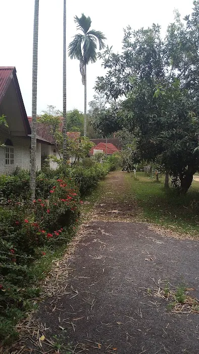 Akademi Kelulut Malaysia Picture 1