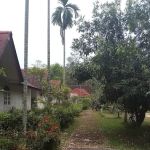 Akademi Kelulut Malaysia