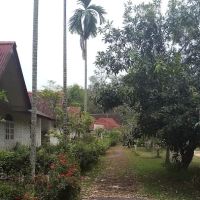 Akademi Kelulut Malaysia ico