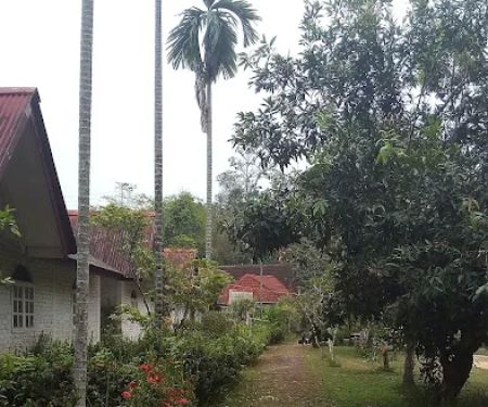 Akademi Kelulut Malaysia