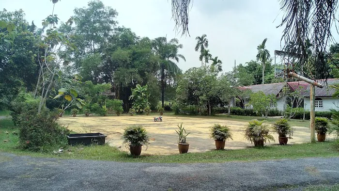 Akademi Kelulut Malaysia Picture 4