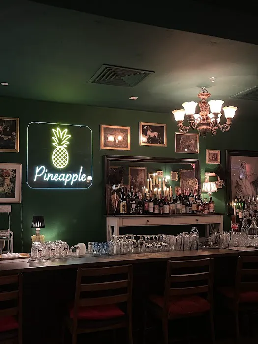 Pineapple Japanese Club|カラオケ・パブリカ Picture 5