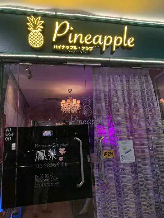 Pineapple Japanese Club|カラオケ・パブリカ Picture 8