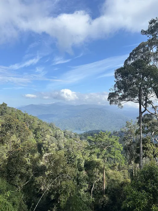 Bukit Kutu & Gunung Rajah Trailhead Picture 3